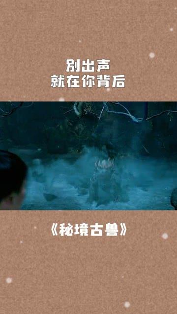 小猫钓鱼游戏龙王版有船